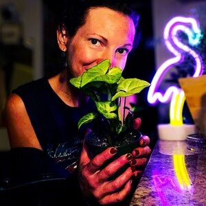 Meet your Posher, Sunny